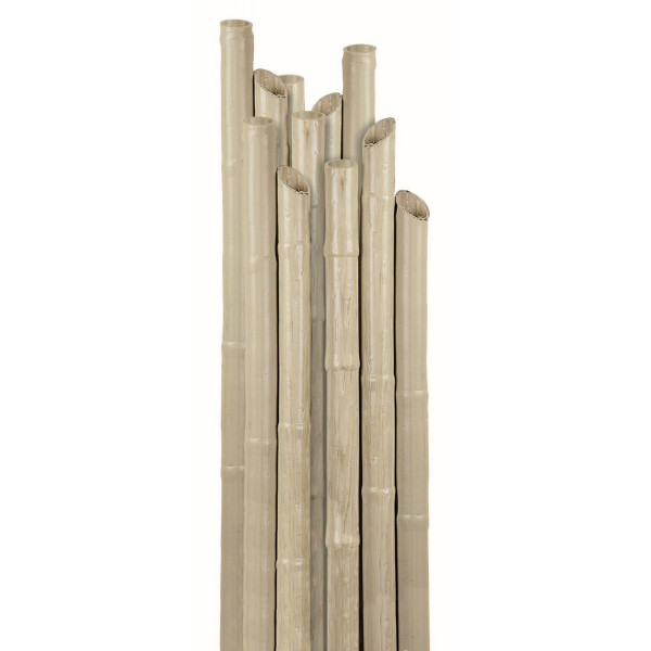 Cannetta in plastica reggipiante 27 mm - cm 150 Biacchi Ettore